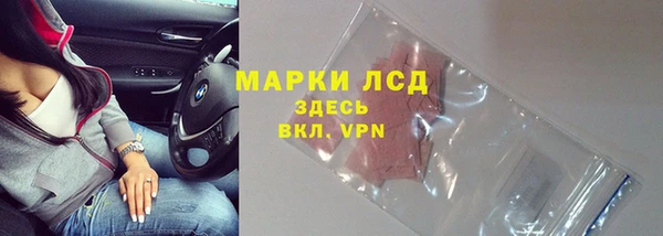 ПСИЛОЦИБИНОВЫЕ ГРИБЫ Алексин