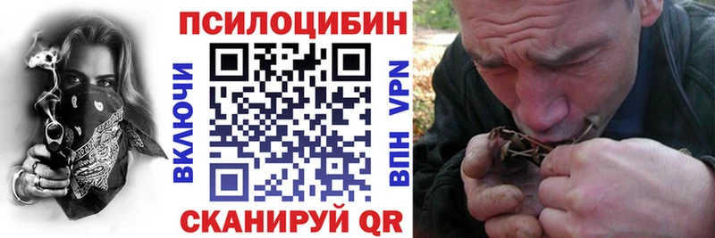 Псилоцибиновые грибы Psilocybe  Губаха 