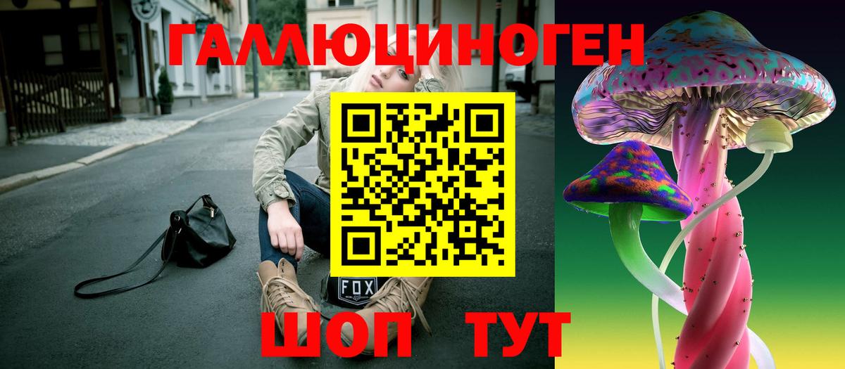 Губаха  купить наркоту  Вход с VPN  Псилоцибиновые грибы Psilocybe 