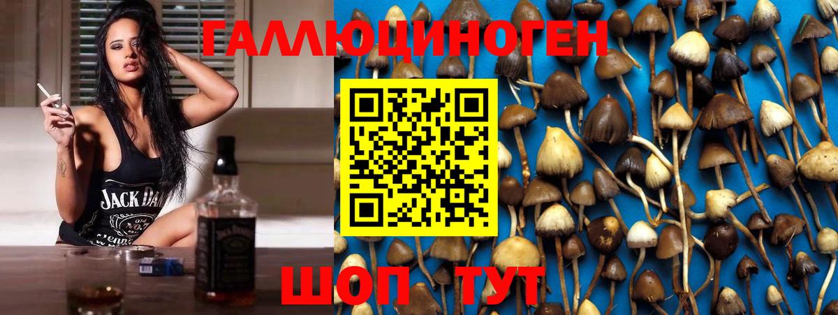 Псилоцибиновые грибы MAGIC MUSHROOMS Губаха